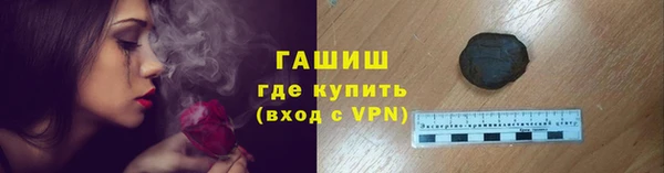 таблы Бородино