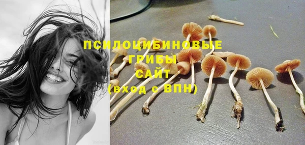 таблы Бородино