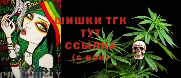 таблы Бородино