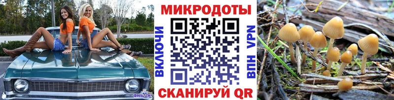 Псилоцибиновые грибы Psilocybe  наркотики  Острогожск 